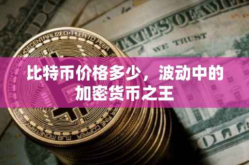 比特币价格多少，波动中的加密货币之王