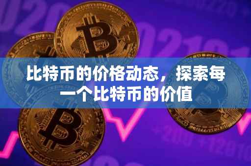 比特币的价格动态，探索每一个比特币的价值