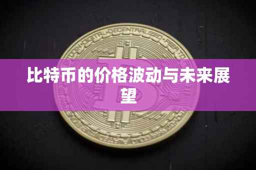 比特币的价格波动与未来展望