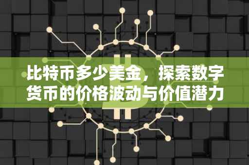 比特币多少美金，探索数字货币的价格波动与价值潜力