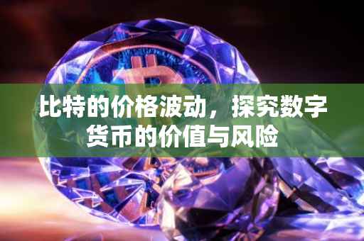 比特的价格波动，探究数字货币的价值与风险