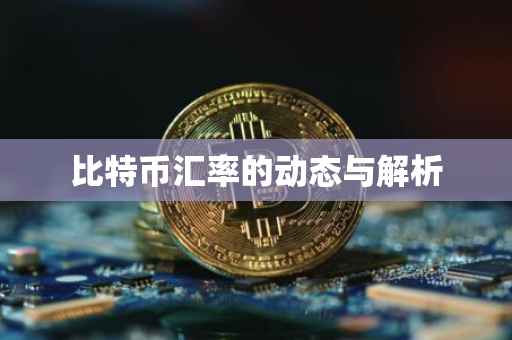 比特币汇率的动态与解析