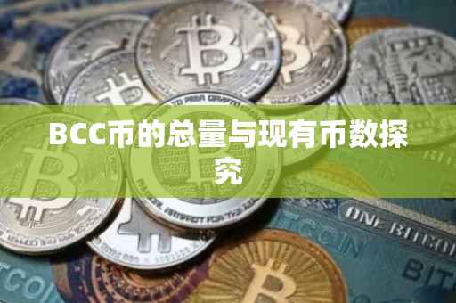 BCC币的总量与现有币数探究