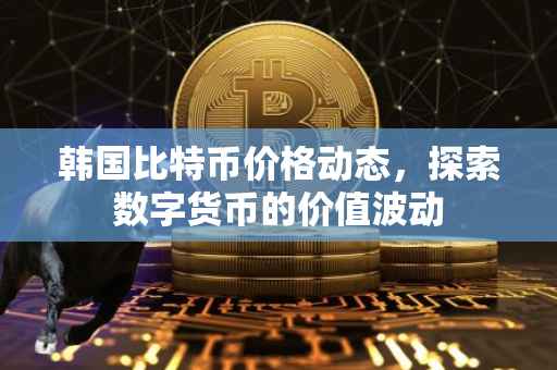 韩国比特币价格动态，探索数字货币的价值波动