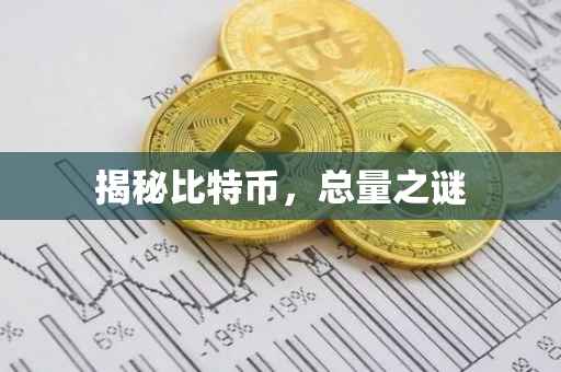 揭秘比特币，总量之谜