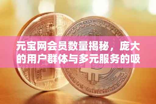 元宝网会员数量揭秘，庞大的用户群体与多元服务的吸引力