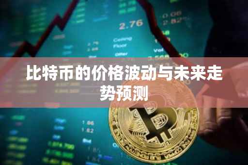 比特币的价格波动与未来走势预测