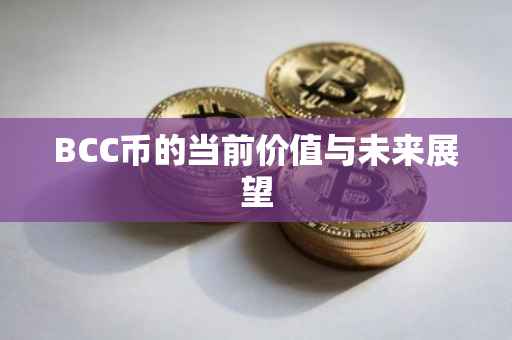 BCC币的当前价值与未来展望