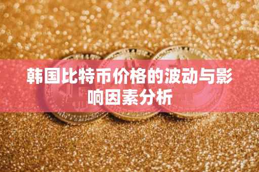 韩国比特币价格的波动与影响因素分析