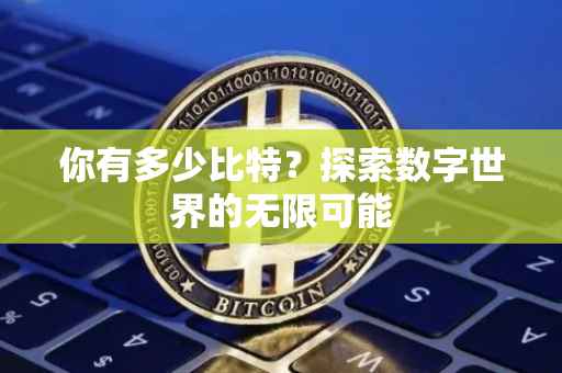 你有多少比特？探索数字世界的无限可能