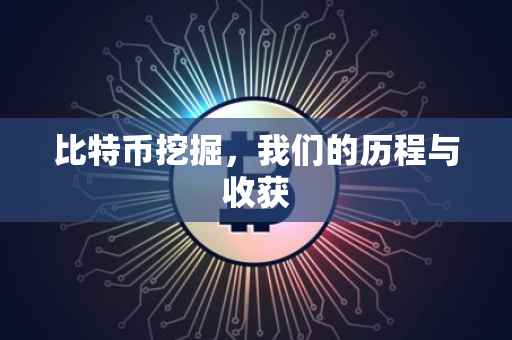 比特币挖掘，我们的历程与收获