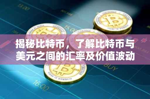 揭秘比特币，了解比特币与美元之间的汇率及价值波动