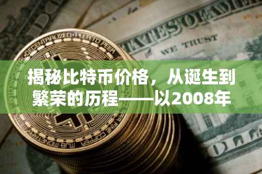 揭秘比特币价格，从诞生到繁荣的历程——以2008年为观察点