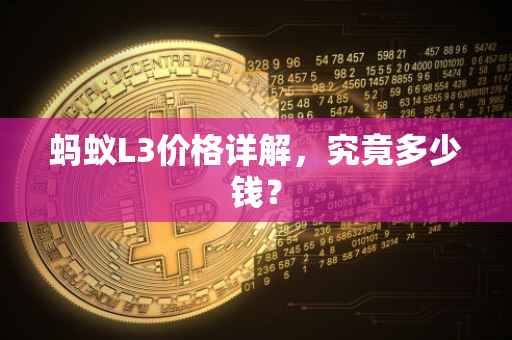 蚂蚁L3价格详解，究竟多少钱？