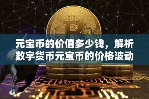 元宝币的价值多少钱，解析数字货币元宝币的价格波动及未来展望
