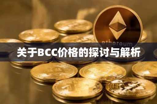 关于BCC价格的探讨与解析