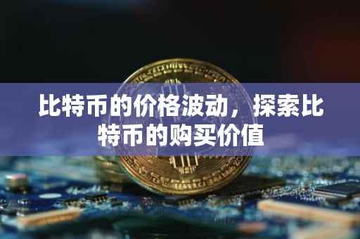 比特币的价格波动，探索比特币的购买价值