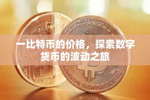 一比特币的价格，探索数字货币的波动之旅