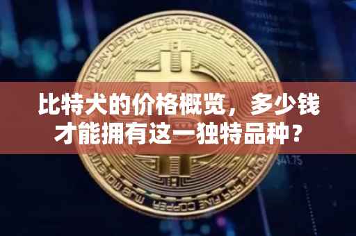 比特犬的价格概览，多少钱才能拥有这一独特品种？