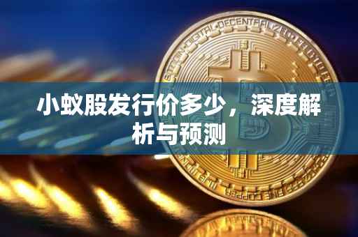 小蚁股发行价多少，深度解析与预测
