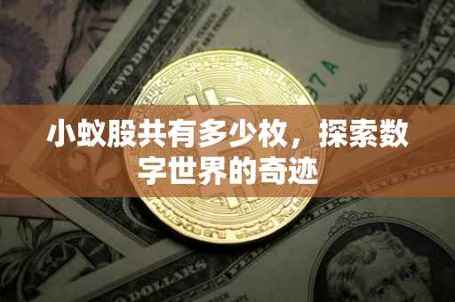 小蚁股共有多少枚，探索数字世界的奇迹