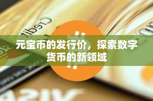 元宝币的发行价，探索数字货币的新领域