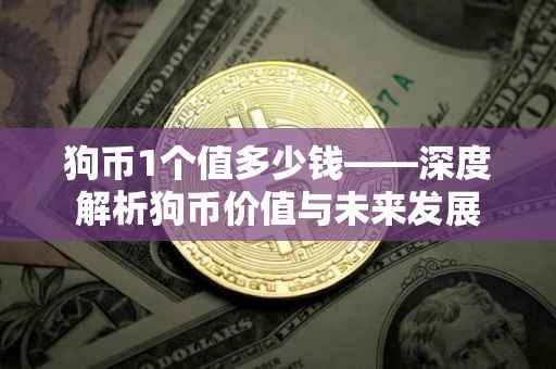 狗币1个值多少钱——深度解析狗币价值与未来发展