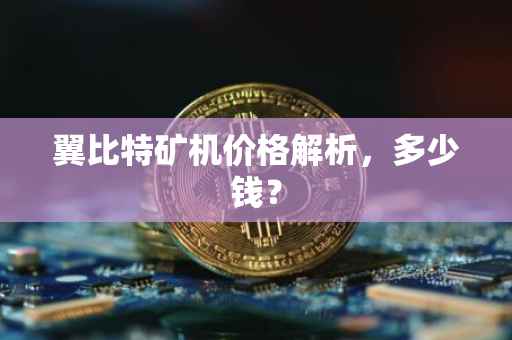 翼比特矿机价格解析，多少钱？