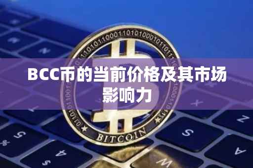 BCC币的当前价格及其市场影响力