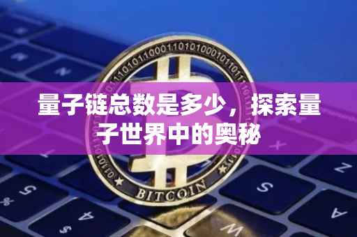 量子链总数是多少，探索量子世界中的奥秘