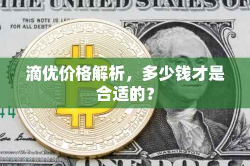 滴优价格解析，多少钱才是合适的？