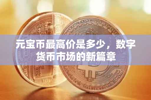 元宝币最高价是多少，数字货币市场的新篇章