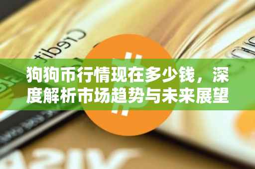 狗狗币行情现在多少钱，深度解析市场趋势与未来展望