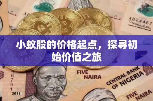 小蚁股的价格起点，探寻初始价值之旅