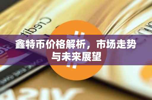 鑫特币价格解析，市场走势与未来展望