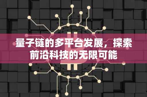 量子链的多平台发展，探索前沿科技的无限可能