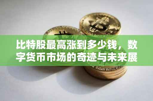比特股最高涨到多少钱，数字货币市场的奇迹与未来展望