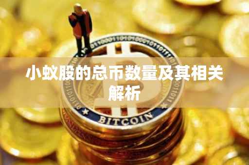 小蚁股的总币数量及其相关解析