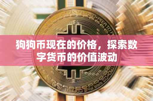 狗狗币现在的价格，探索数字货币的价值波动
