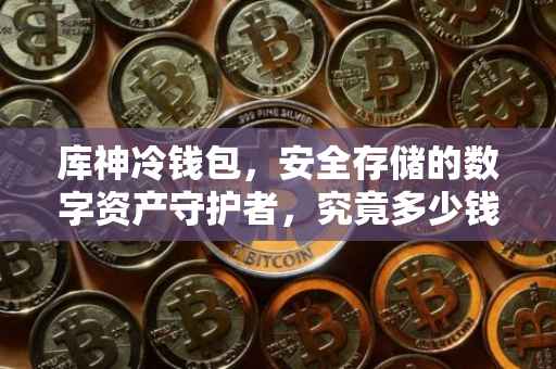 库神冷钱包，安全存储的数字资产守护者，究竟多少钱一个？