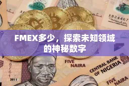 FMEX多少，探索未知领域的神秘数字