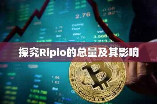 探究Ripio的总量及其影响
