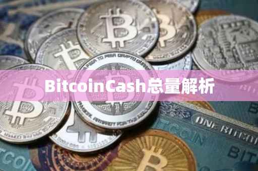 BitcoinCash总量解析