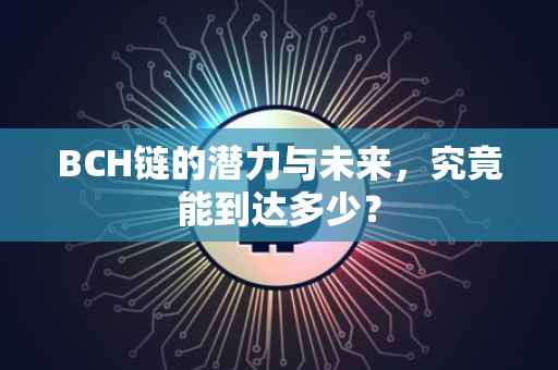 BCH链的潜力与未来，究竟能到达多少？