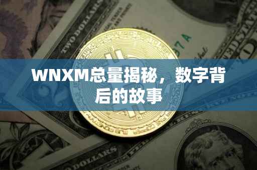 WNXM总量揭秘，数字背后的故事