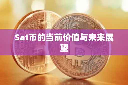 Sat币的当前价值与未来展望