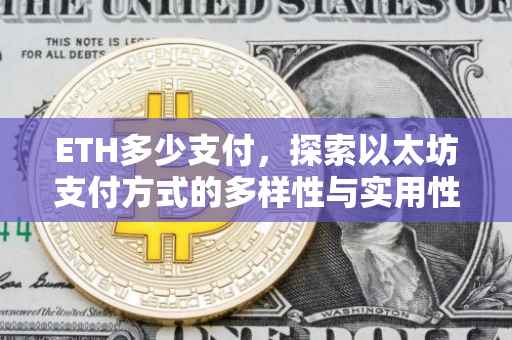 ETH多少支付，探索以太坊支付方式的多样性与实用性
