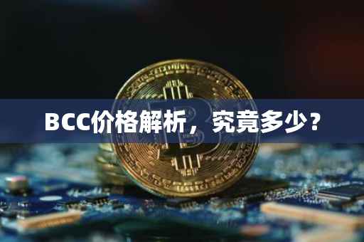 BCC价格解析，究竟多少？