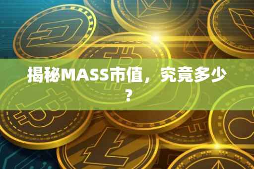 揭秘MASS市值，究竟多少？