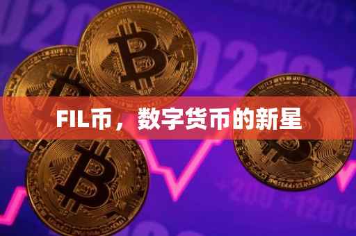 FIL币，数字货币的新星